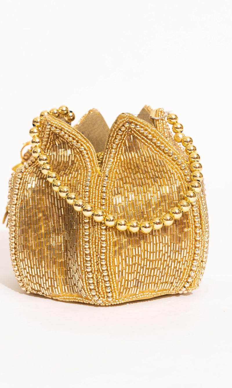 AB1061 BAGS RAAS