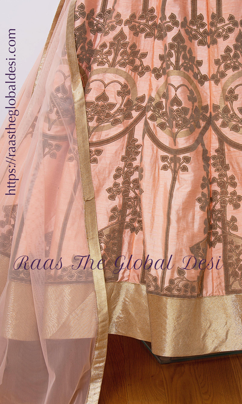 Artemisia Peach Long Dress ANARKALI & GOWN RAAS