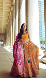 CC3217 - lehenga choli