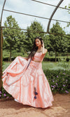 CC3232 - lehenga choli