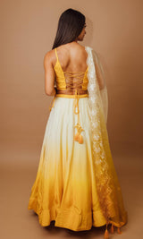 CC3676 - Chaniya choli