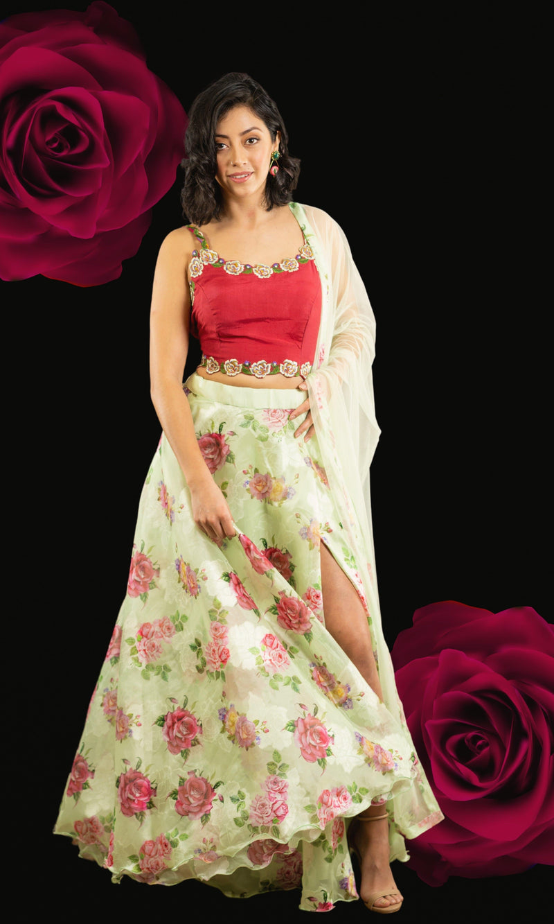 Floral Red and Pista Green Lehenga Choli Set-[mehendi outfit]-Raas