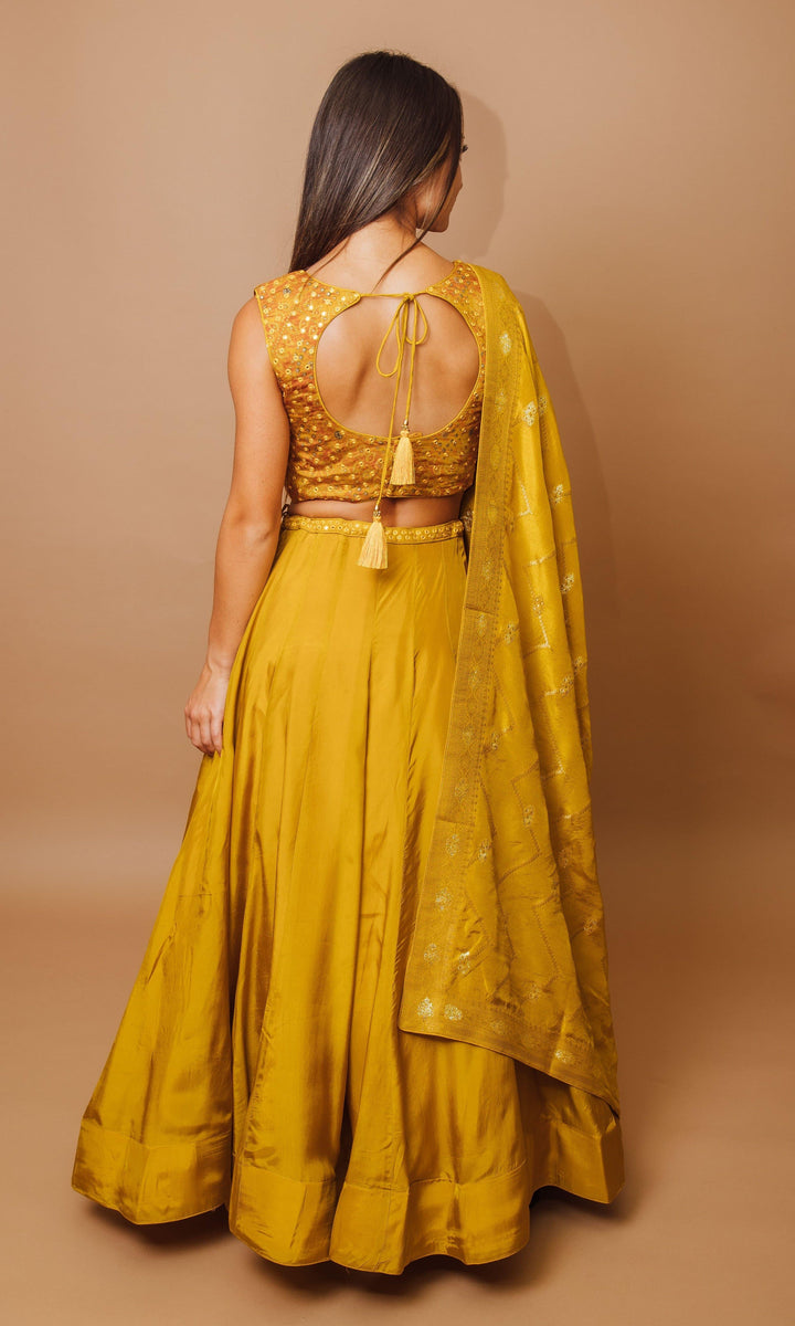 Haldi Yellow Lehenga Choli Set-[haldi_outfit]-Raas