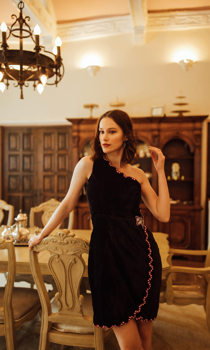 Regina Black Mini Dress with Hand Embroidery-Raas USA