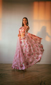 CC3599 Pink Organza silk lehenga choli - chaniya choli
