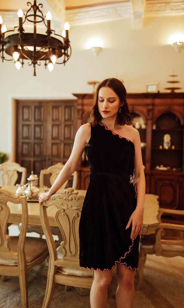 Regina Black Mini Dress with Hand Embroidery - Raas
