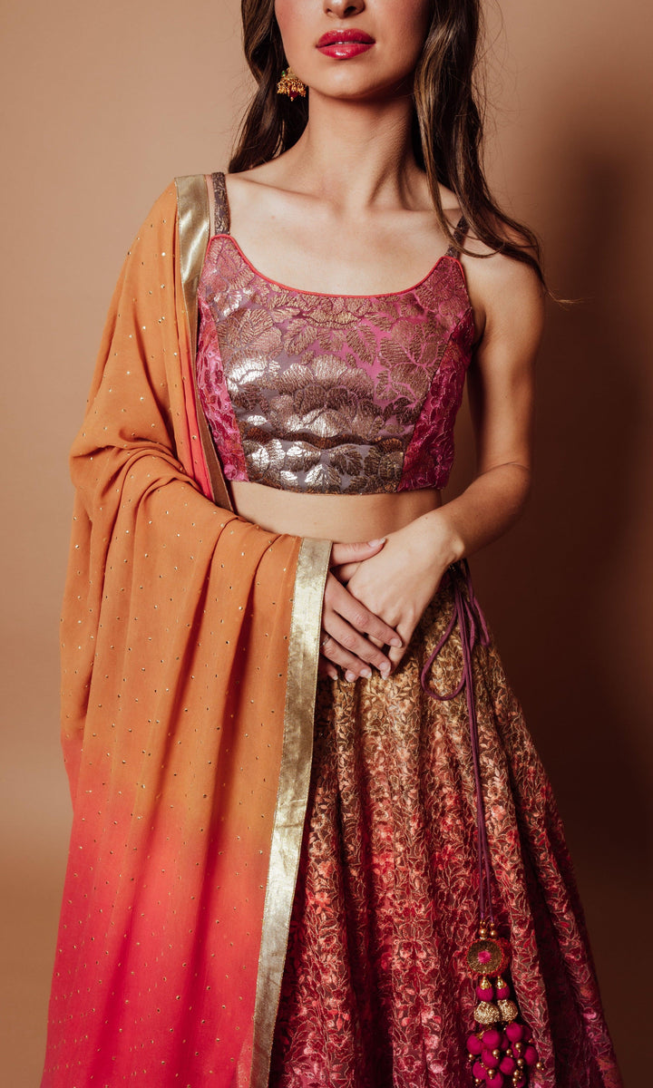 Lola Multi Color Lehenga Choli Set - Raas
