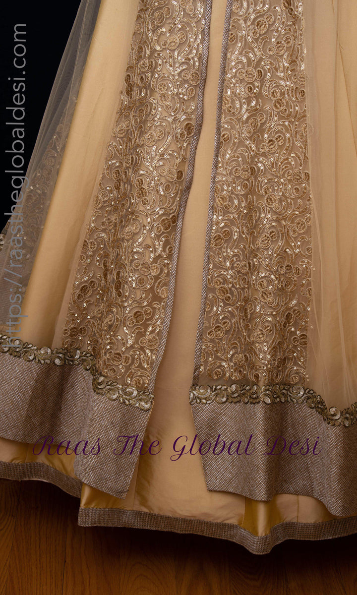 Anarkali & Gown - AG1667 - ANARKALI & GOWN