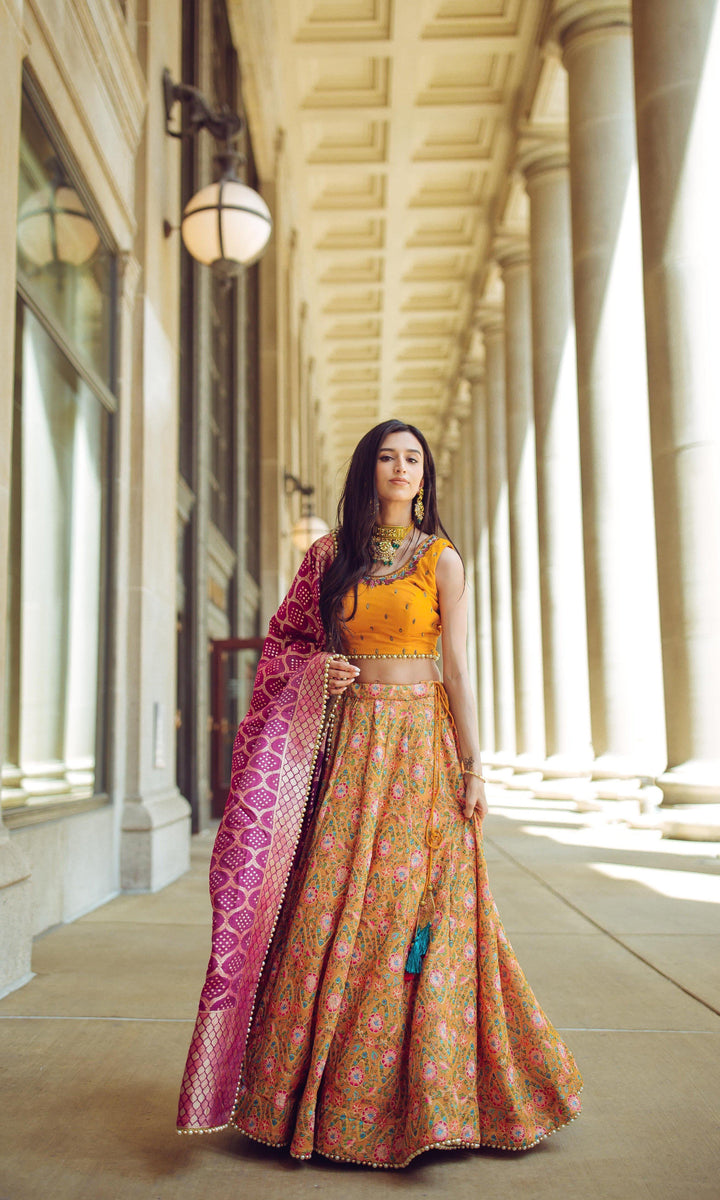 CC3217 - lehenga choli